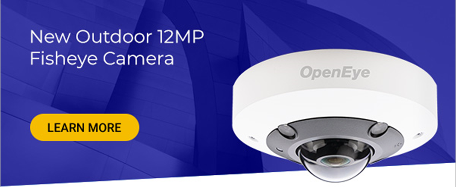 New Outdoor 12MP IP Fisheye Camera